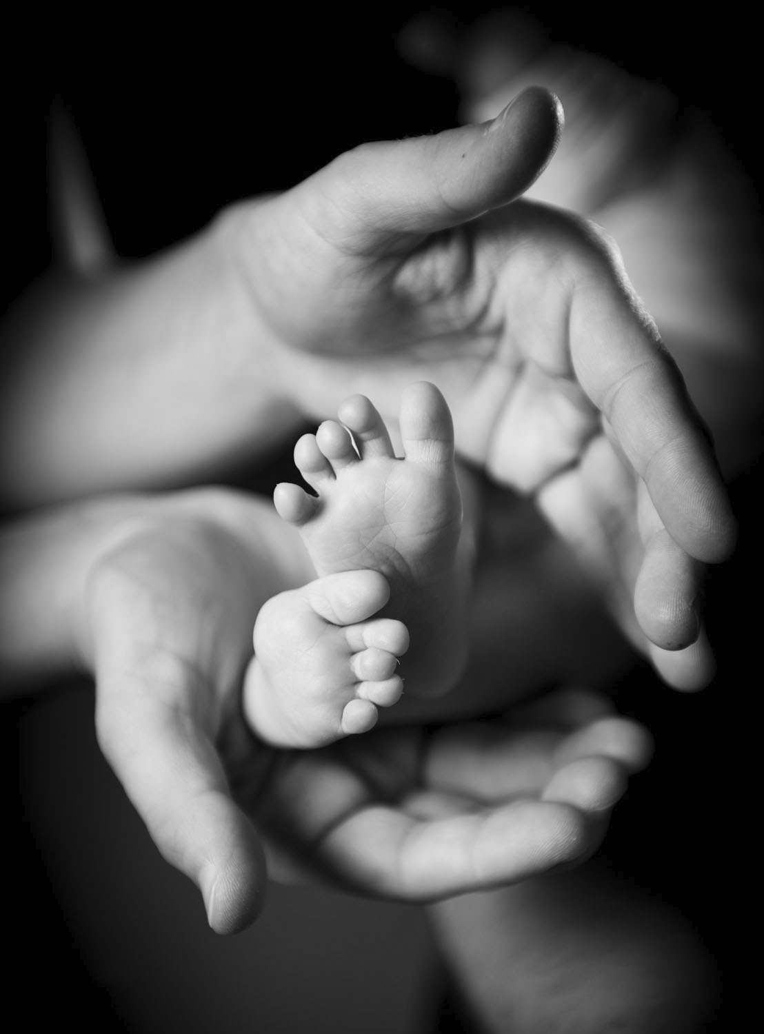 newborn fotoshooting in Wels-Land das Fotostudio für Babyfotografie